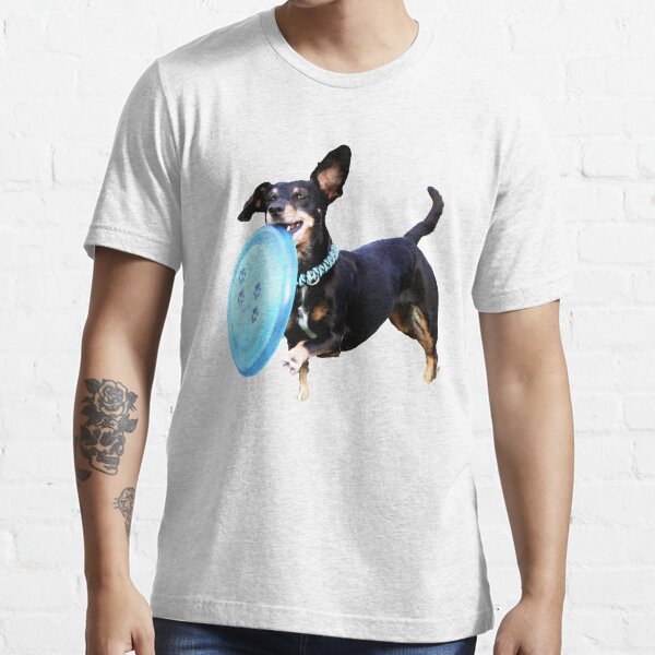 dog frisbees in bulk