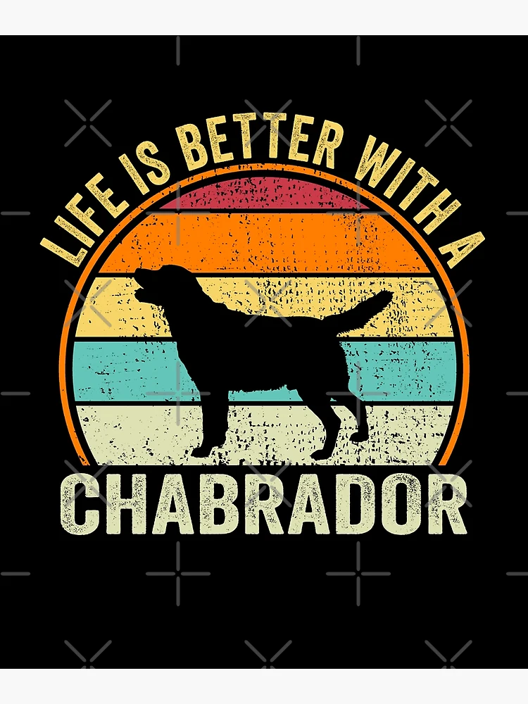 Chabrador deals for sale