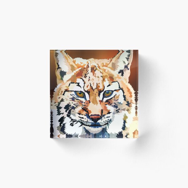 Lynx Acrylic Block