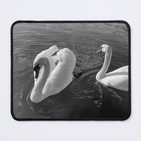 Item preview, Swan Angels • Black & White • III designed and sold by Mortinus.