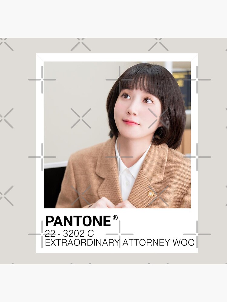 "extraordinary attorney woo" Poster for Sale by jvsmin Redbubble