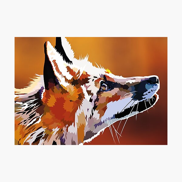 Staring Fox Photographic Print