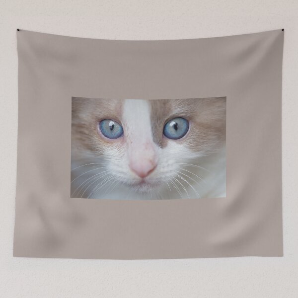 Item preview, sacred birman kitten eyes designed and sold by Nebulae-Art.