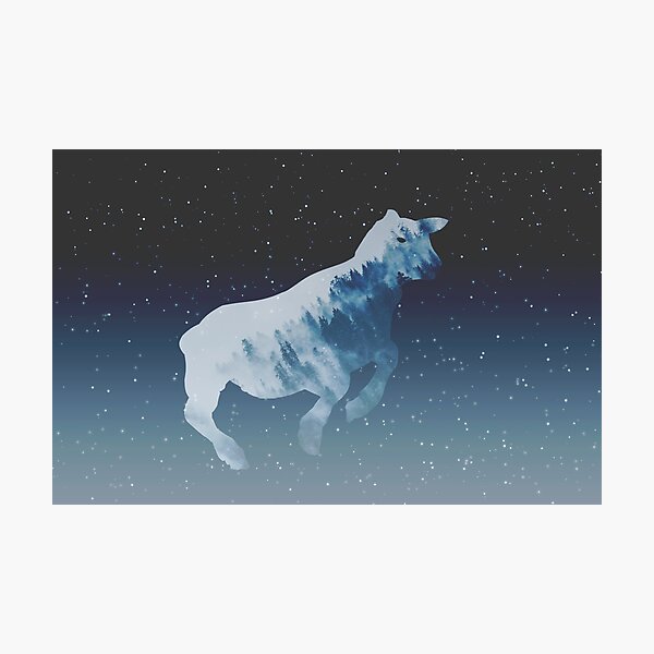 Beast Photographic Print