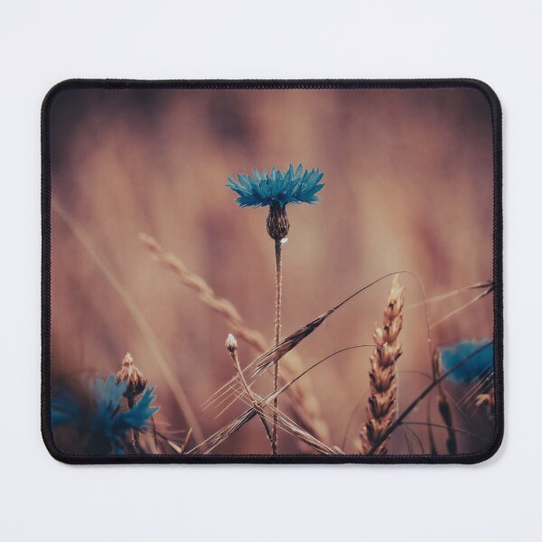 Item preview, Cornflower in a moody look designed and sold by Bild-Konserve.