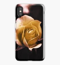 Rose Yellow- iPhone Case/Skin