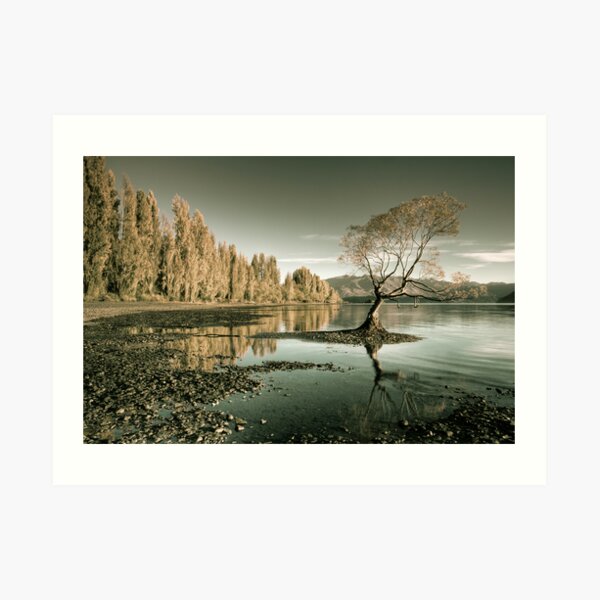 The Lake Art Print