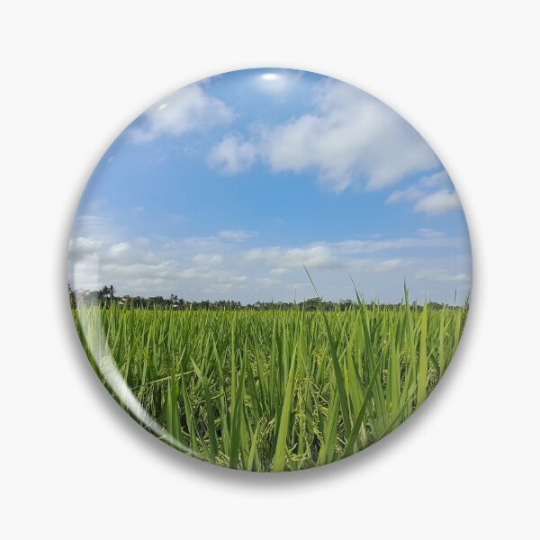Item preview, Ricefield landscape view  designed and sold by nickardi.