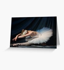 Swan by moonlight Greeting Card