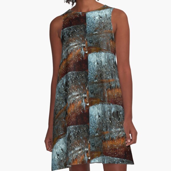 Crystal Clear A-Line Dress