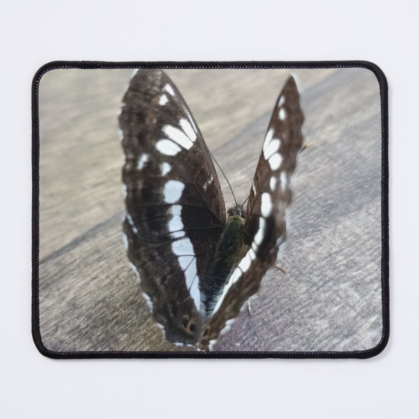 Item preview, beautiful picture, designed and sold by vibeno1.