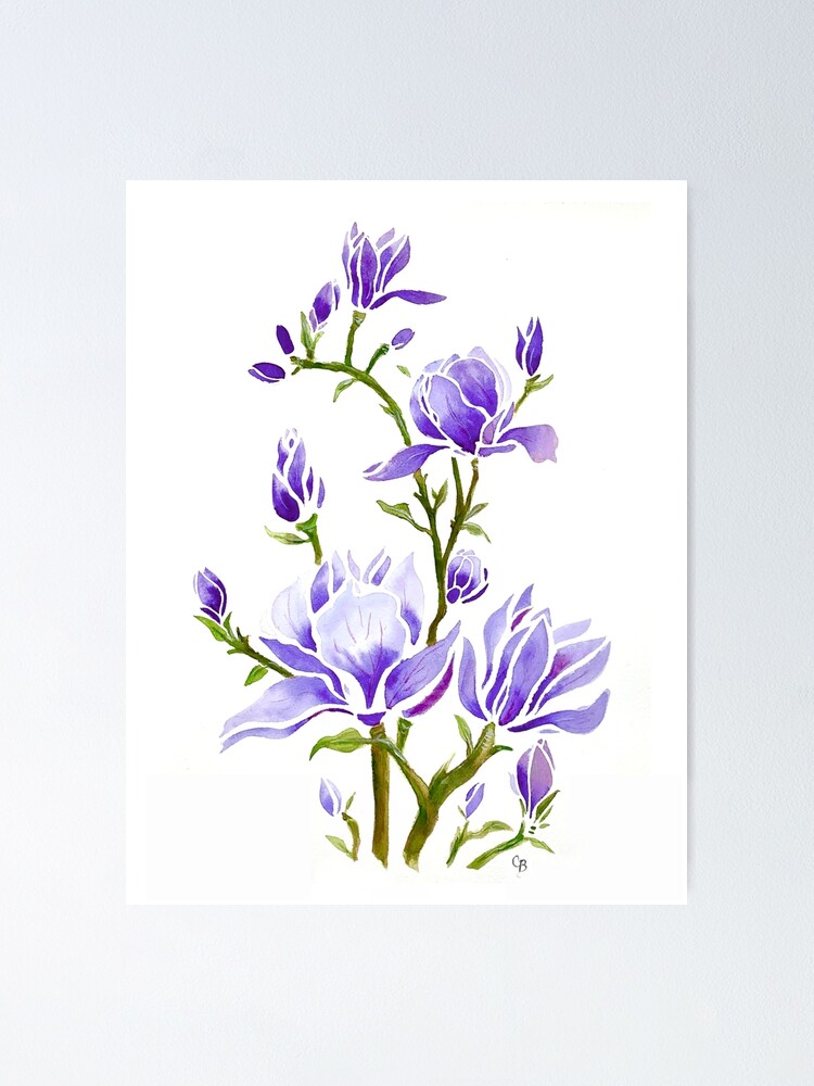 Póster «magnolia morada» de PaintedbyCarol | Redbubble