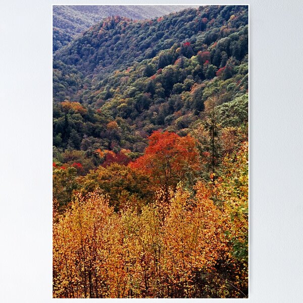 Artikelvorschau, Nature's Canvas entworfen und verkauft von David Lampkins.
