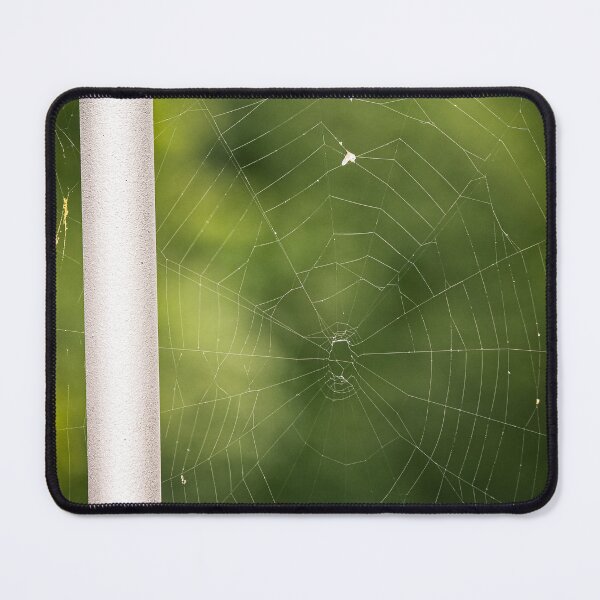 Item preview, Spiders on the Bridge designed and sold by c-zphotos.
