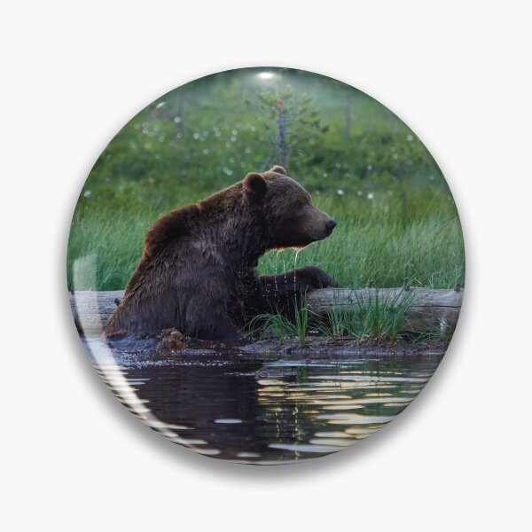 Item preview, One cold  bear please. Brown bear designed and sold by Jouko Lehto Photography.