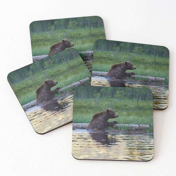 Item preview, One cold  bear please. Brown bear designed and sold by Jouko Lehto Photography.