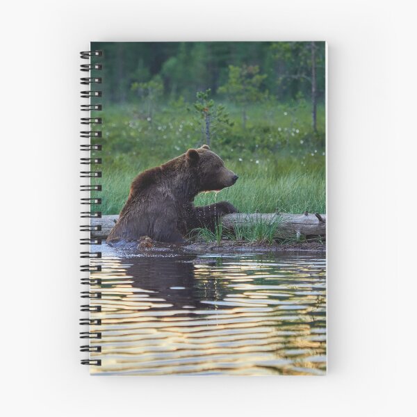 Item preview, One cold  bear please. Brown bear designed and sold by Jouko Lehto Photography.