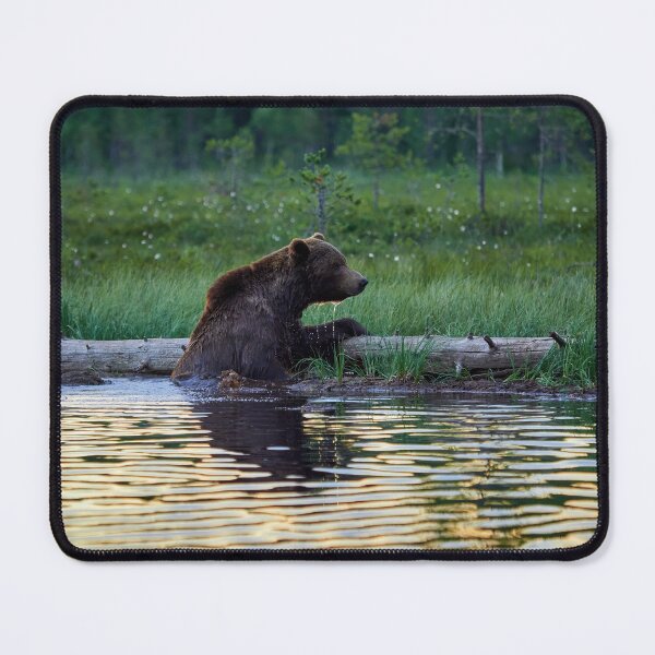 Item preview, One cold bear please. Brown bear designed and sold by Jouko Lehto Photography.
