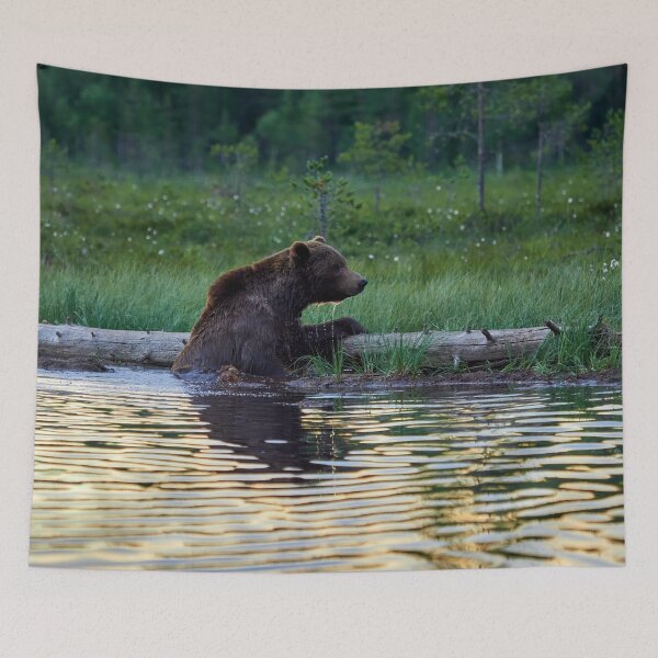 Item preview, One cold  bear please. Brown bear designed and sold by Jouko Lehto Photography.