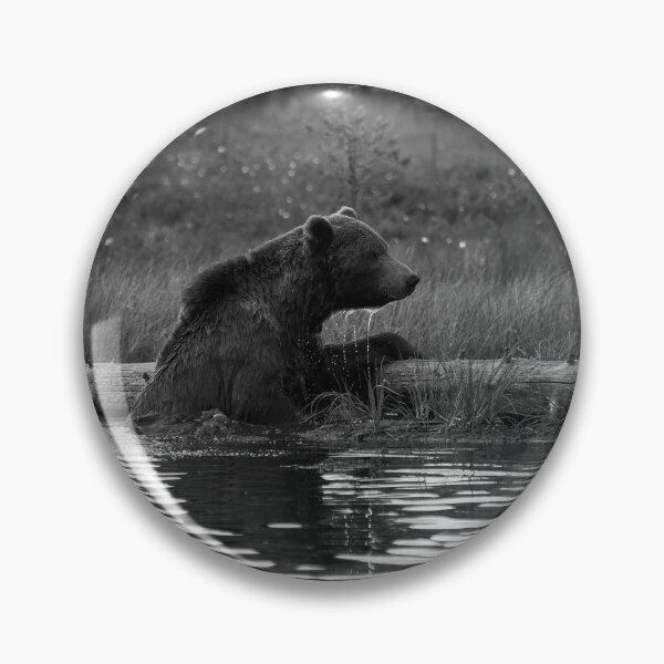 Item preview, One cold  bear please. Brown bear bw designed and sold by Jouko Lehto Photography.