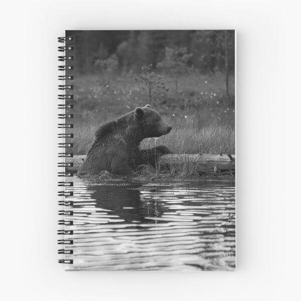 Item preview, One cold  bear please. Brown bear bw designed and sold by Jouko Lehto Photography.