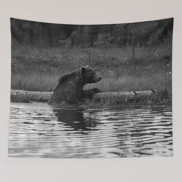 Item preview, One cold  bear please. Brown bear bw designed and sold by Jouko Lehto Photography.