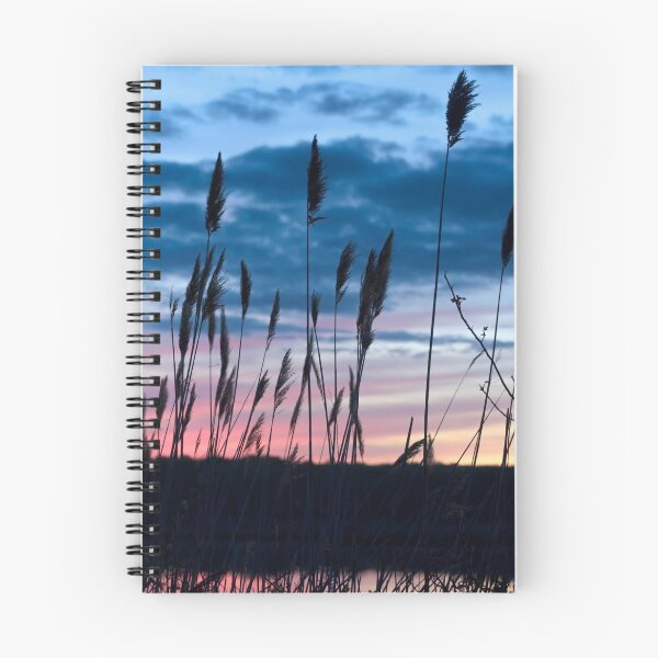 Item preview, Connecticut Salt Marsh Sunset I designed and sold by Marianne Campolongo.