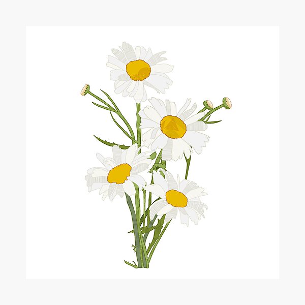 Item preview, Daisy Flowers designed and sold by Moshruum.