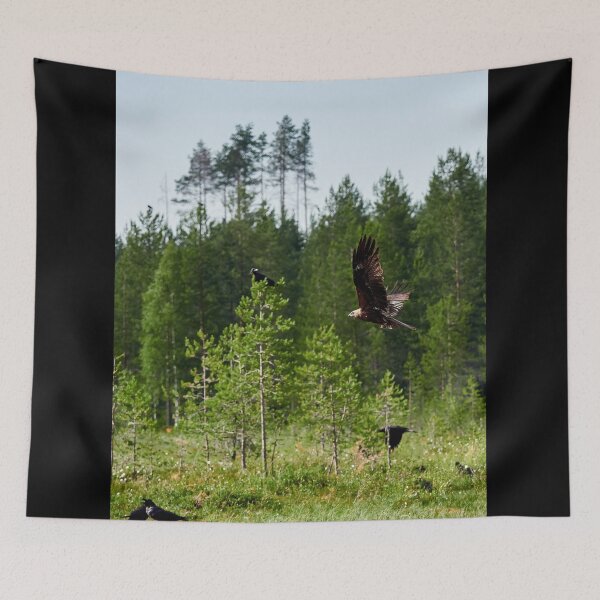 Item preview, On one hot day. Black kite and ravens designed and sold by Jouko Lehto Photography.