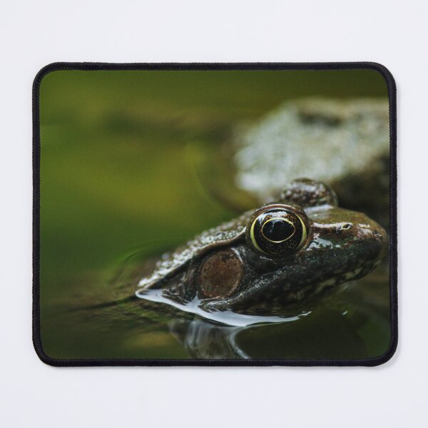 Item preview, Kiss the Frog designed and sold by c-zphotos.