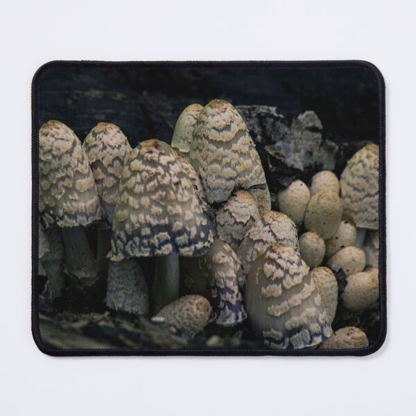 Item preview, Mushroom Forest designed and sold by c-zphotos.