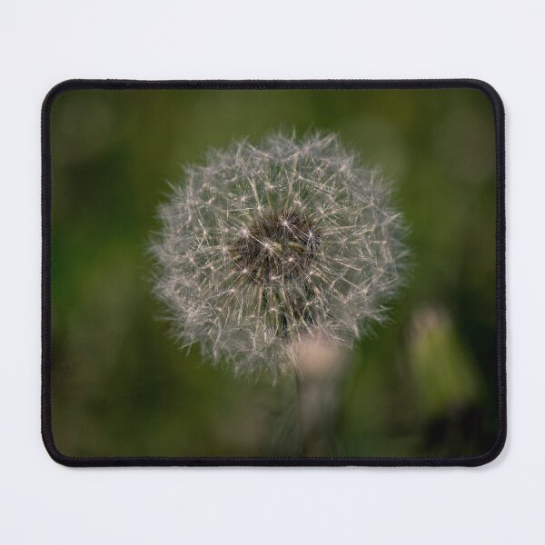Item preview, Dandelion Wishes designed and sold by c-zphotos.
