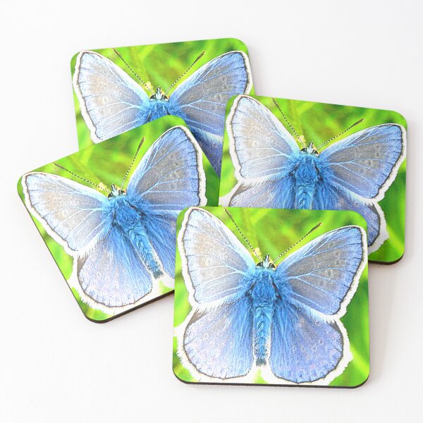 Item preview, Common Blue, Hauhechel-Bläuling, Polyommatus icarus designed and sold by angel1.