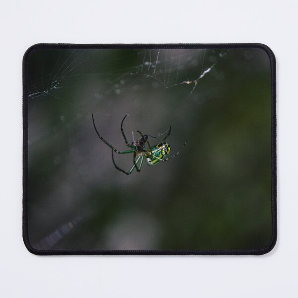 Item preview, Woodland Spider designed and sold by c-zphotos.