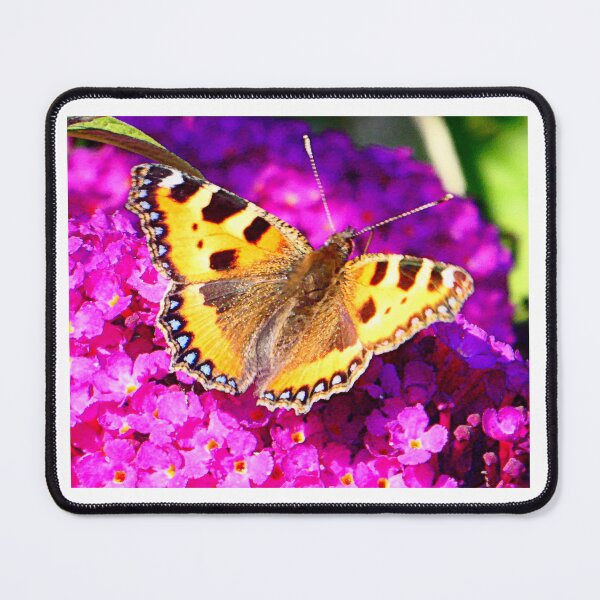 Item preview, Tortoiseshell on buddleia designed and sold by angel1.