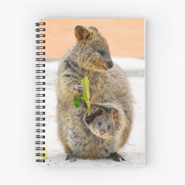Artikelvorschau, Quokka mit Joey entworfen und verkauft von lhowden.
