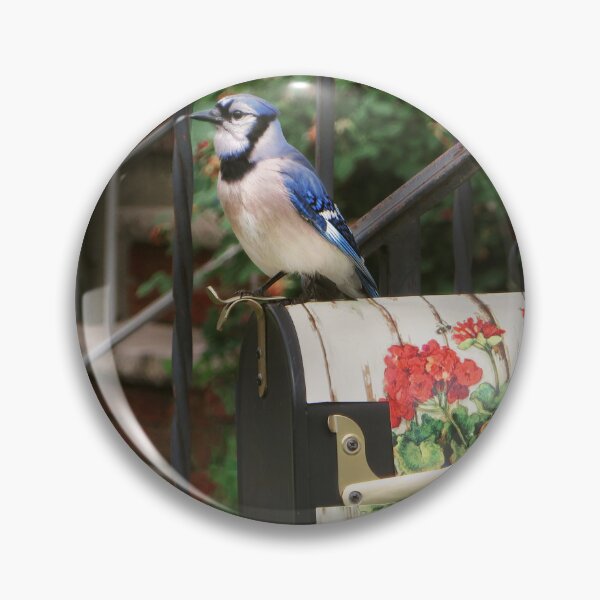Item preview, Bird - Blue Jay - Waiting for the mail designed and sold by Mike Savad Photography.