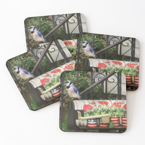 Item preview, Bird - Blue Jay - Waiting for the mail designed and sold by Mike Savad Photography.