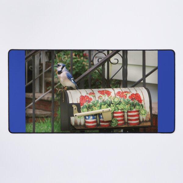 Item preview, Bird - Blue Jay - Waiting for the mail designed and sold by Mike Savad Photography.