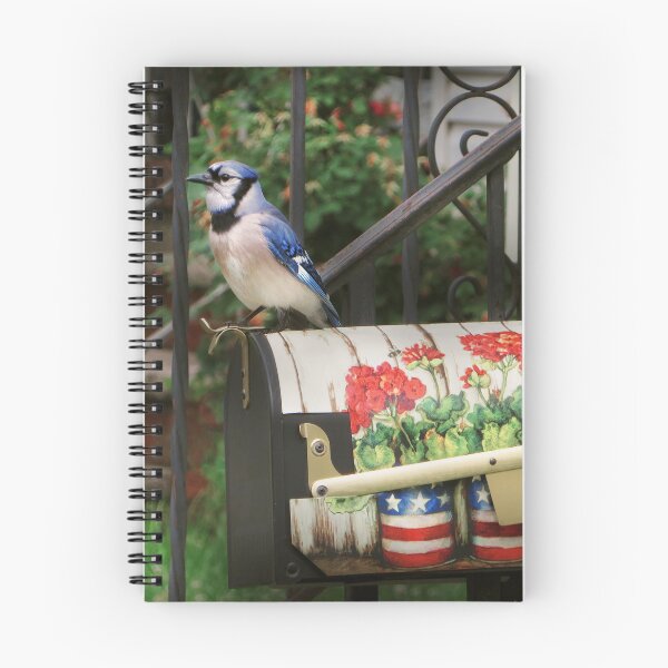 Item preview, Bird - Blue Jay - Waiting for the mail designed and sold by Mike Savad Photography.