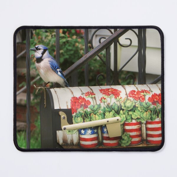 Item preview, Bird - Blue Jay - Waiting for the mail designed and sold by Mike Savad Photography.