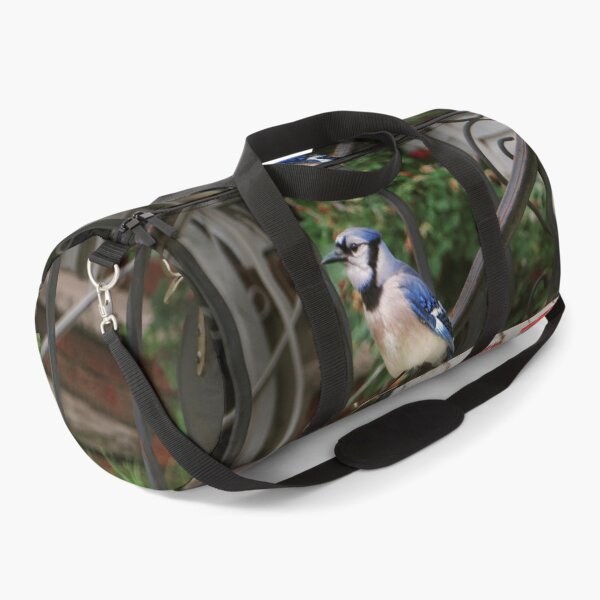 Item preview, Bird - Blue Jay - Waiting for the mail designed and sold by Mike Savad Photography.