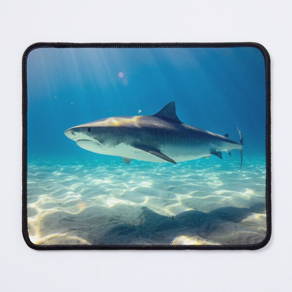 Item preview, Tiger Shark Swimming designed and sold by newburyboutique.