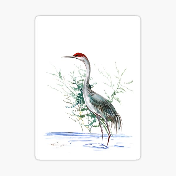 Item preview, Sandhill Crane designed and sold by surenart.