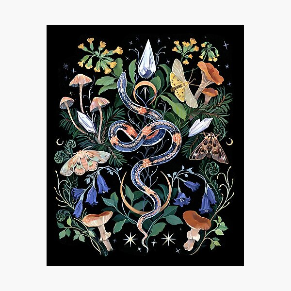 Mushrooms Snake Crystals Photographic Print