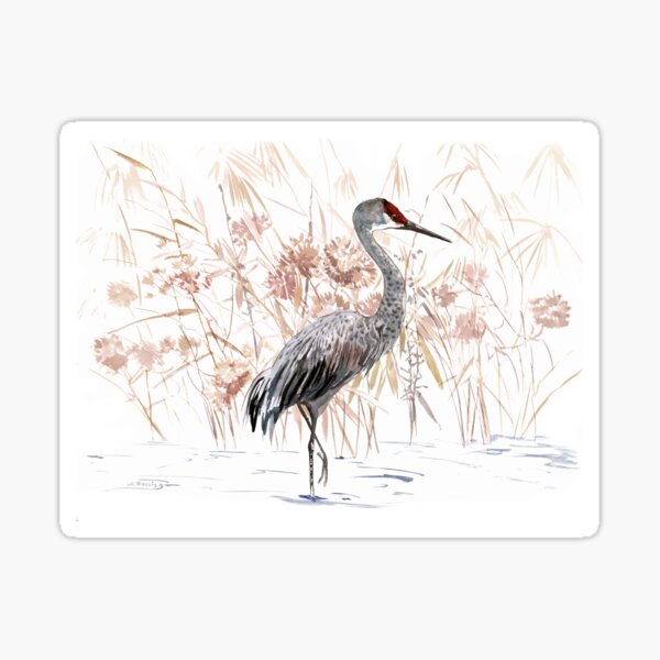 Item preview, Sandhill Crane in Florida designed and sold by surenart.