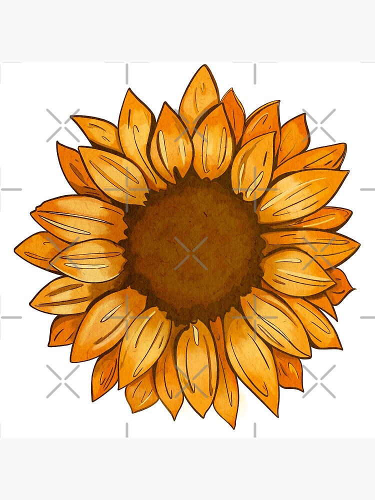 Simple sunflower line drawing icon set - Stock Illustration [103456520] -  PIXTA