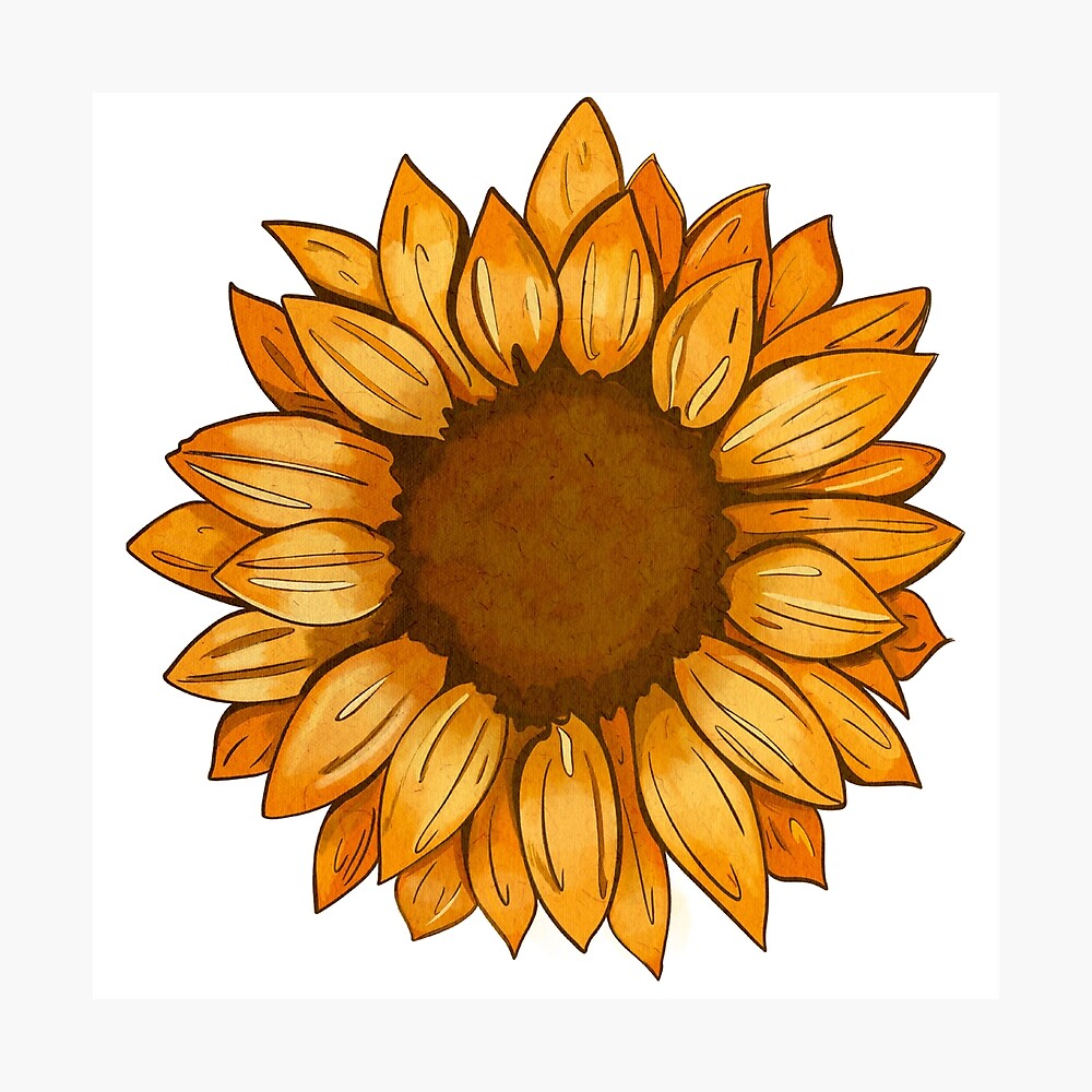 Simple Sunflower Flower Design with Paper Texture: White background