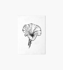 Morning Glory September Birth Flower - Black & White Pen Drawing Art Board