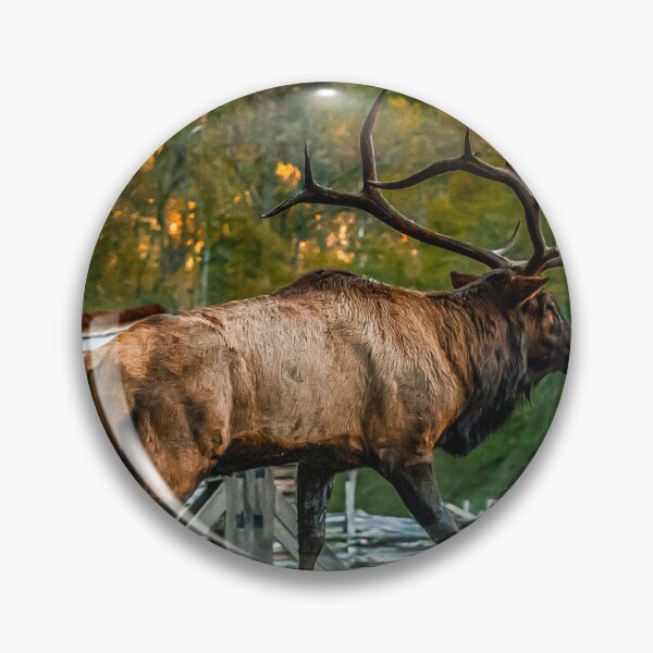 Item preview, Elk in Smoky Mountains designed and sold by adventurewkenna.